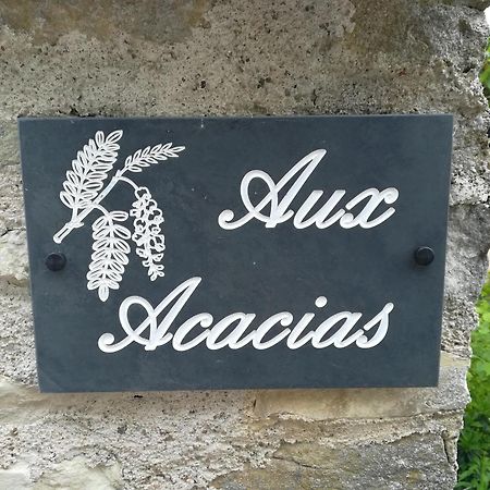 Villa Aux Acacias Braye-sous-Faye Exterior foto